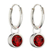 Beginnings Crystal Birthstone Hoop Earring Charms