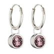 Beginnings Crystal Birthstone Hoop Earring Charms