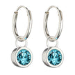 Beginnings Crystal Birthstone Hoop Earring Charms