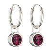 Beginnings Crystal Birthstone Hoop Earring Charms