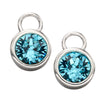 Beginnings Crystal Birthstone Hoop Earring Charms