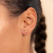 Gold-Seestern-Ohrstecker