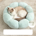 Cat and dog pet nest