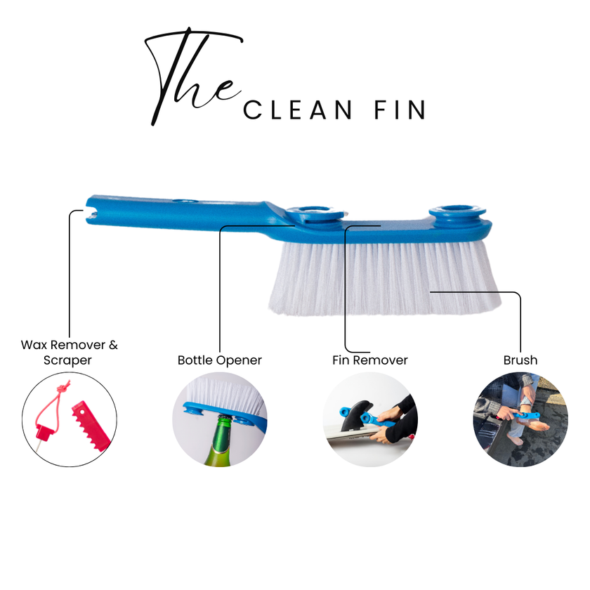 Living in sunshine - The Clean fin