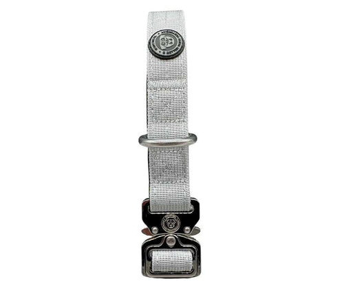 2.5cm Nylon BTactical™ Collar | Misty Grey