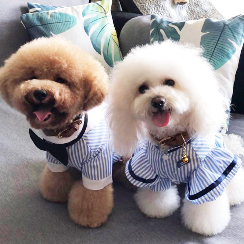 Breathable spring and summer pet clothing