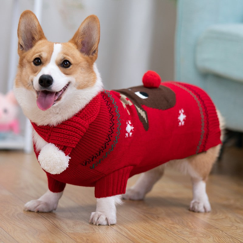Padded Coat Pet Padded Winter Shiba