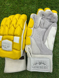 Newbery Kudos Cricket Batting Gloves - T20 Multi-Colour