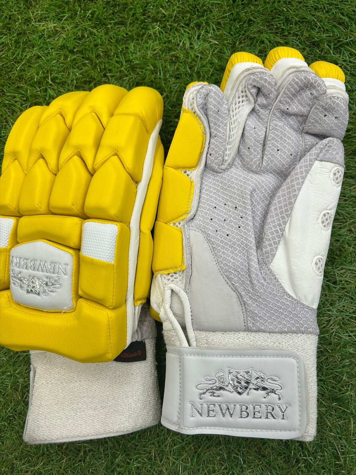 Newbery Kudos Cricket Schlaghandschuhe - T20 Mehrfarbig