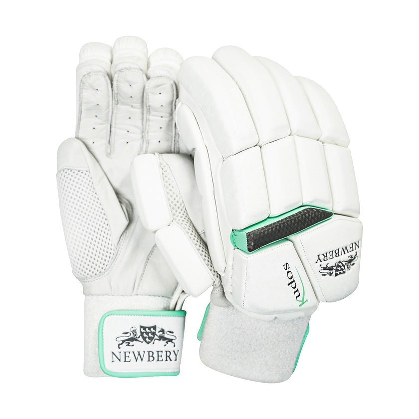 Kudos Cricket Batting Gloves