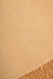 Beige Pashmina Shawl with Beaded Tassels