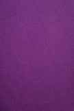 Purple Pashmina Shawl with Beaded Tassels