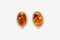 Amber Quintessence Stud Earrings