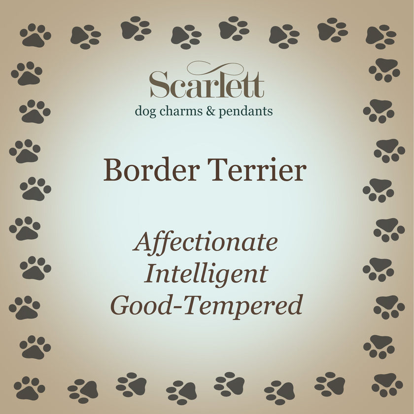 Border Terrier Personalised Silver Dog Tag Necklace
