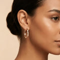 Solid Gold Earrings – Classic Pavé Front Hoop | Gold | Majestic Jewellery