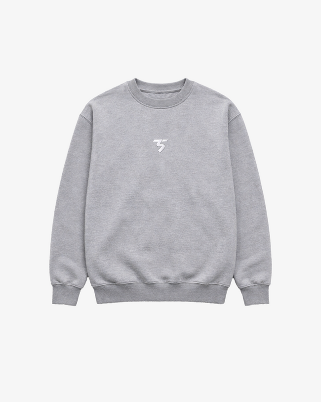Men's Embroidered Heavyweight Sweatshirt - Light Grey