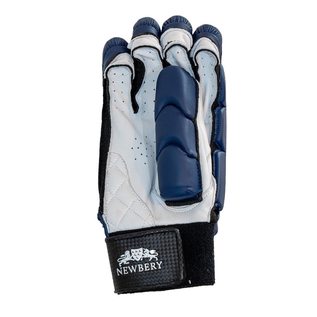 Player Kricket Schlaghandschuhe - Marineblau