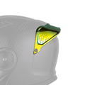 C6 Rear Spoiler Revo- Gold