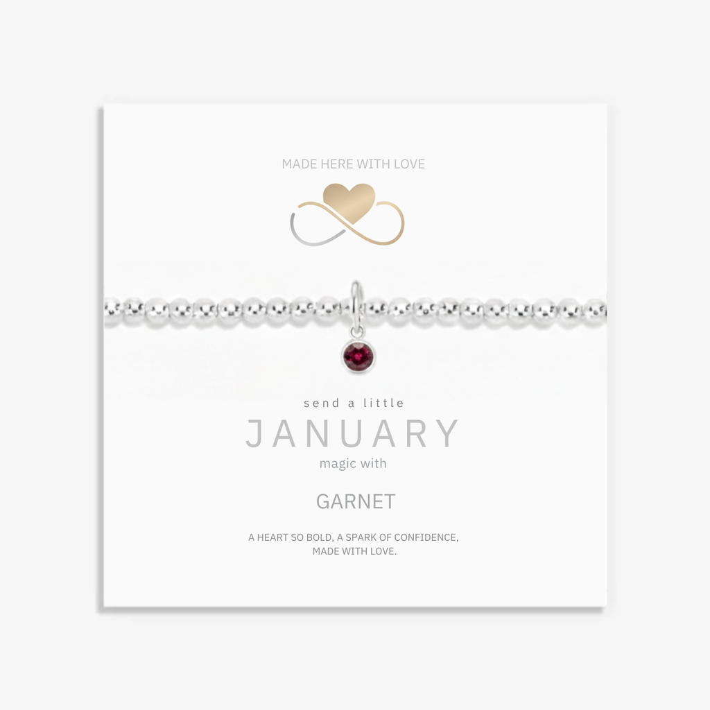 January Birthstone Bracelet Gift