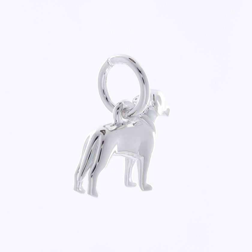 Labrador Personalised Silver Dog Tag Necklace