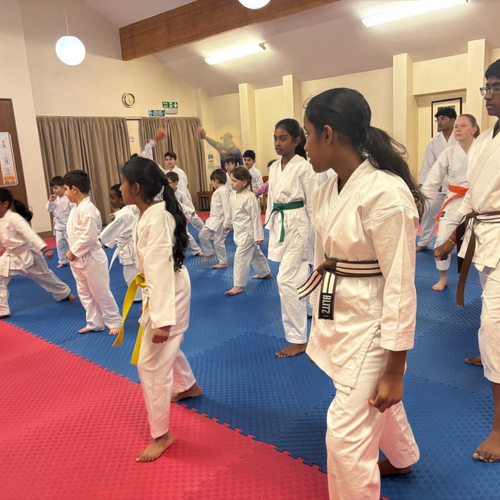 40mm Premium Karate Matten