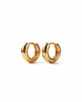 Nia Small Hoops | Gold Vermeil