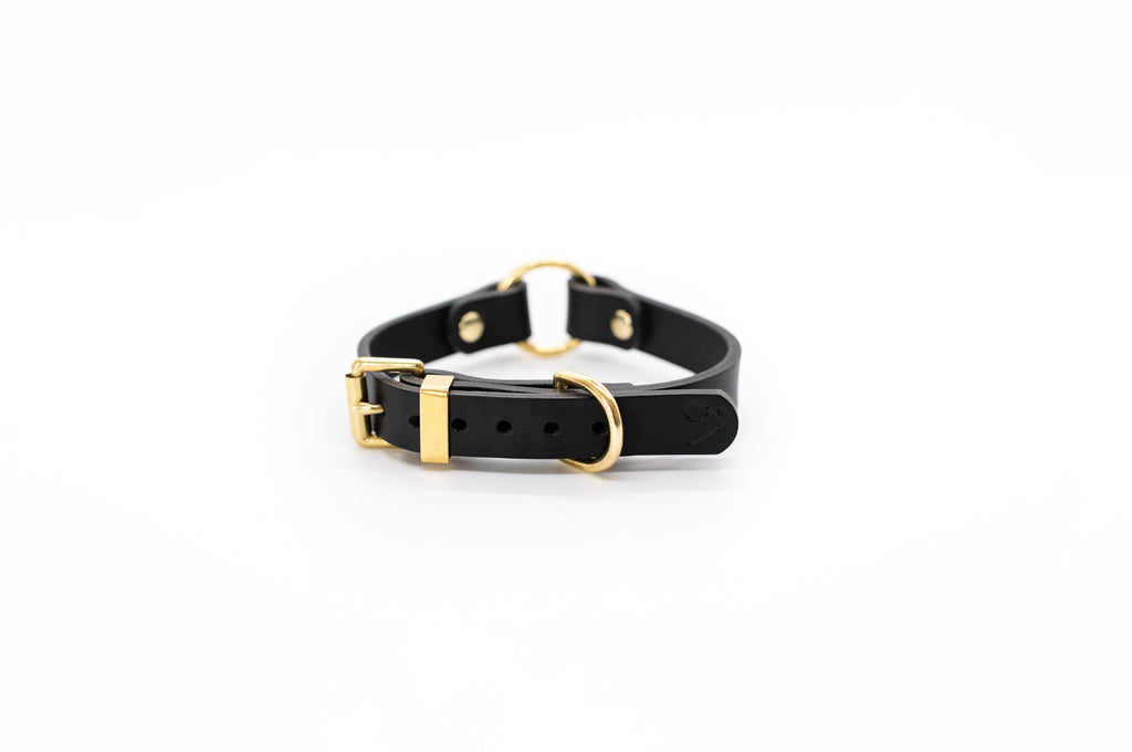 O Leather Collar