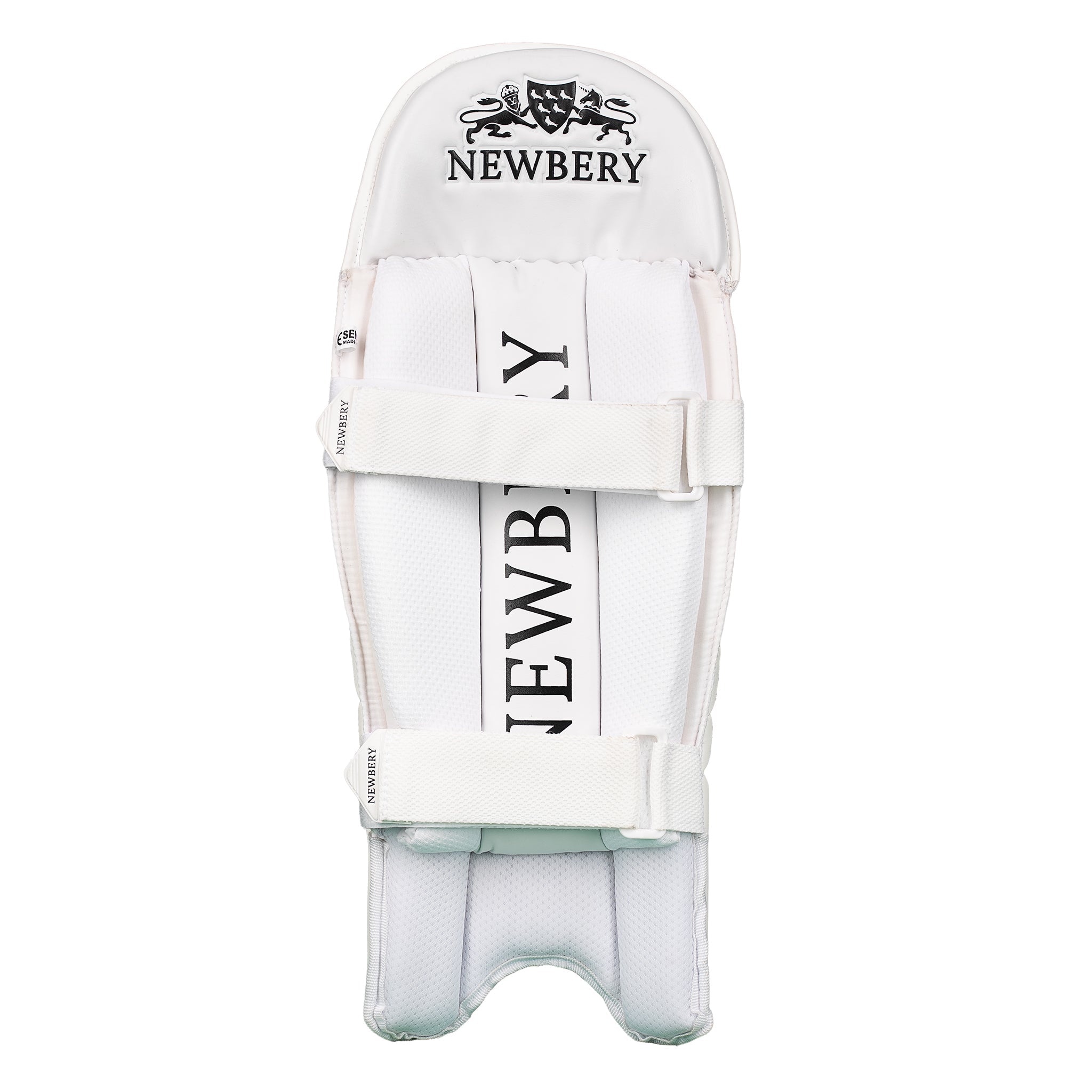 Pro Wicket-Keeping Pads