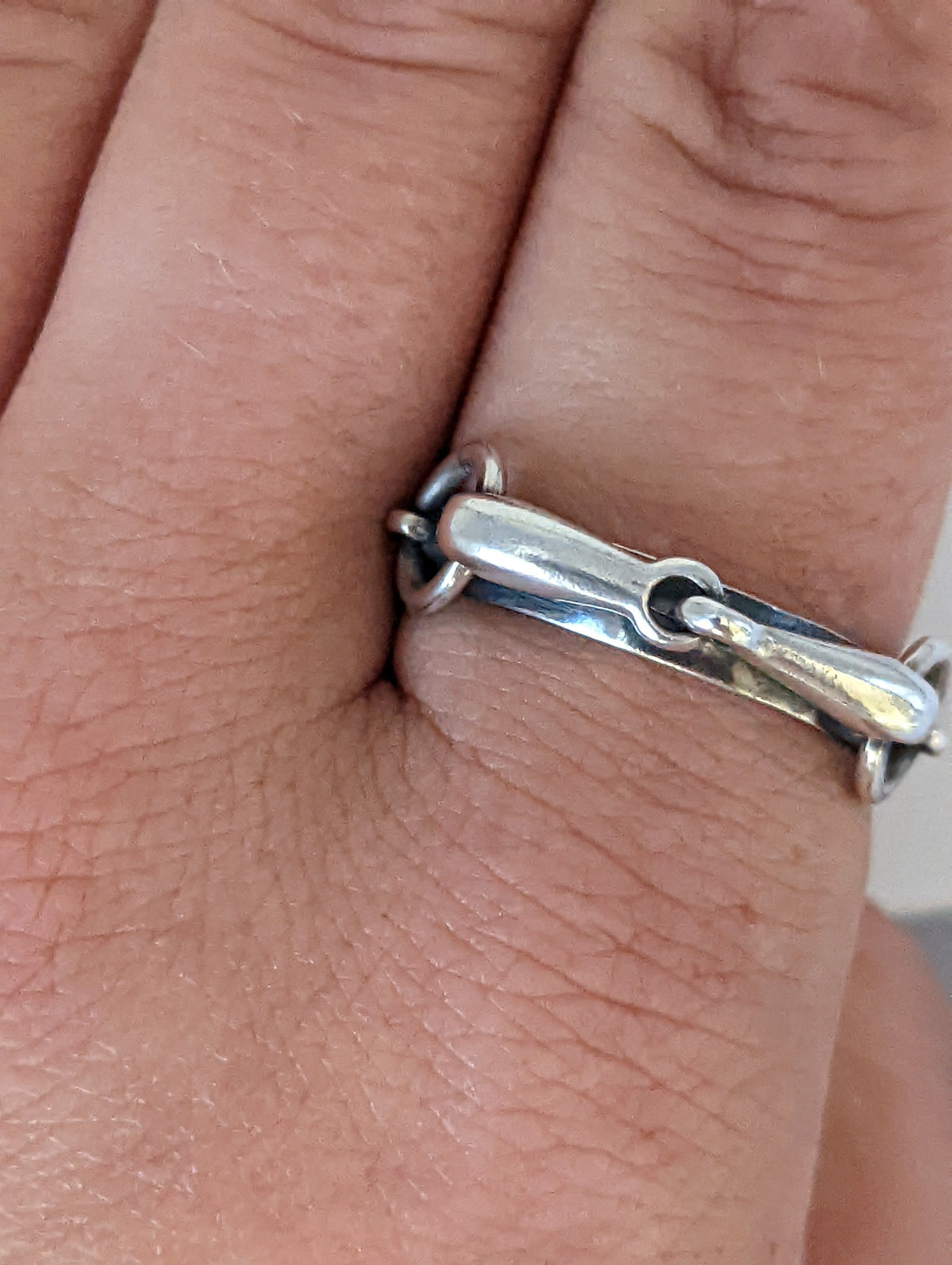 Silver Steed Snaffle on a Silver Band