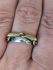 Silver Steed Snaffle on a Silver Band