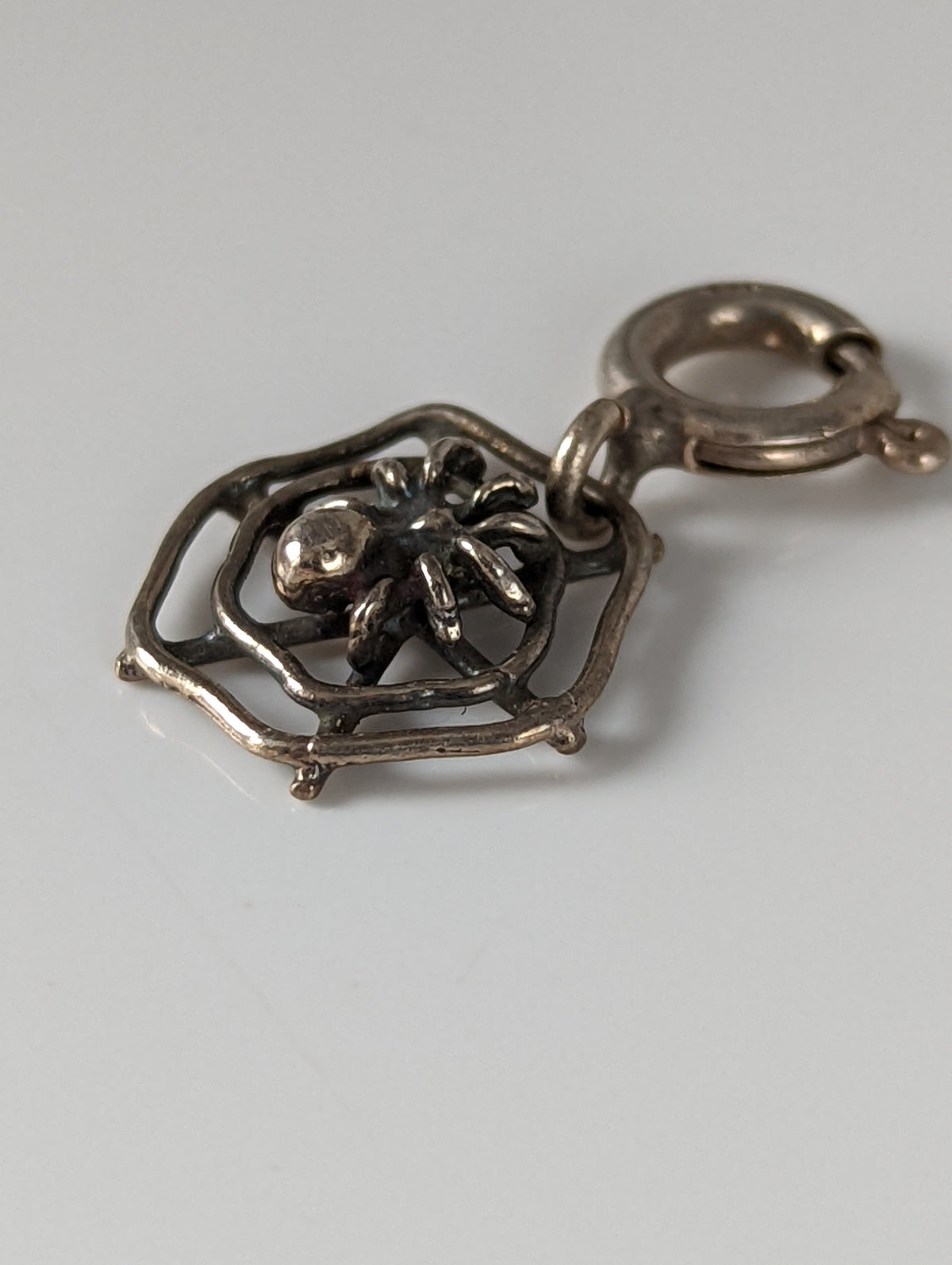 Silver Steed Spider Web Silver Charm