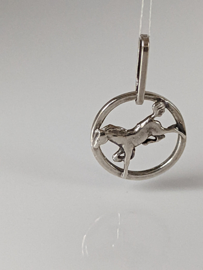 Silver Steed Horse in a Circle Pendant