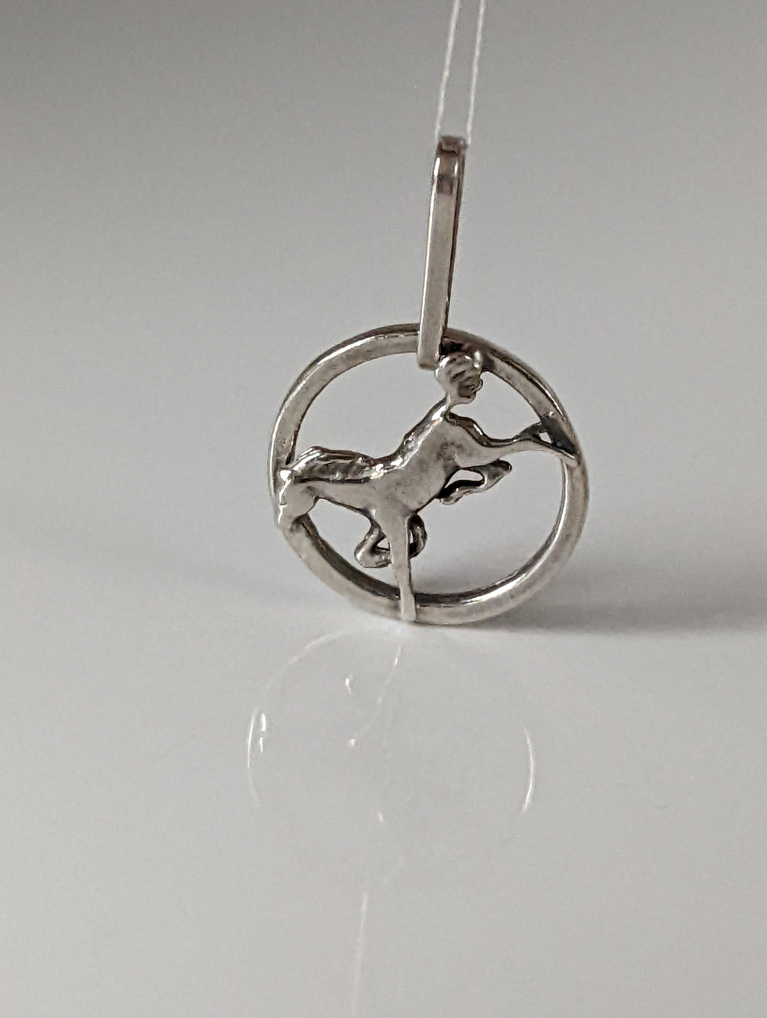 Silver Steed Horse in a Circle Pendant