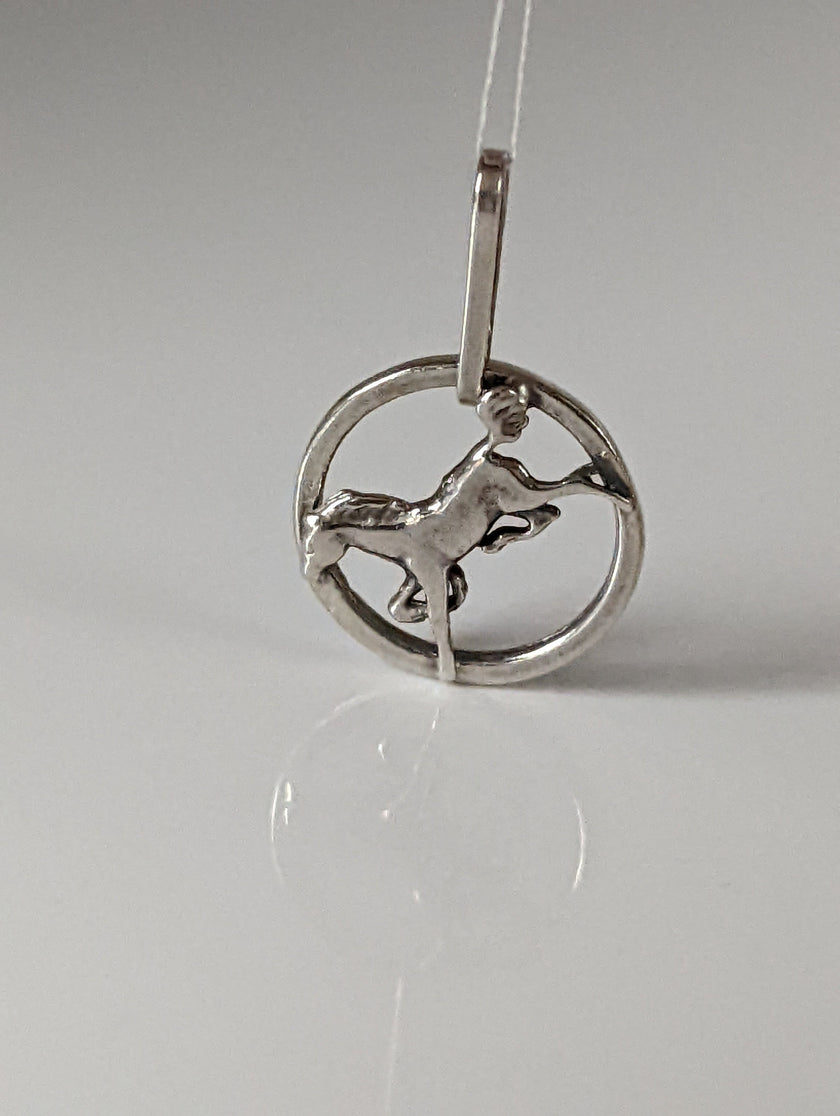Silver Steed Horse in a Circle Pendant