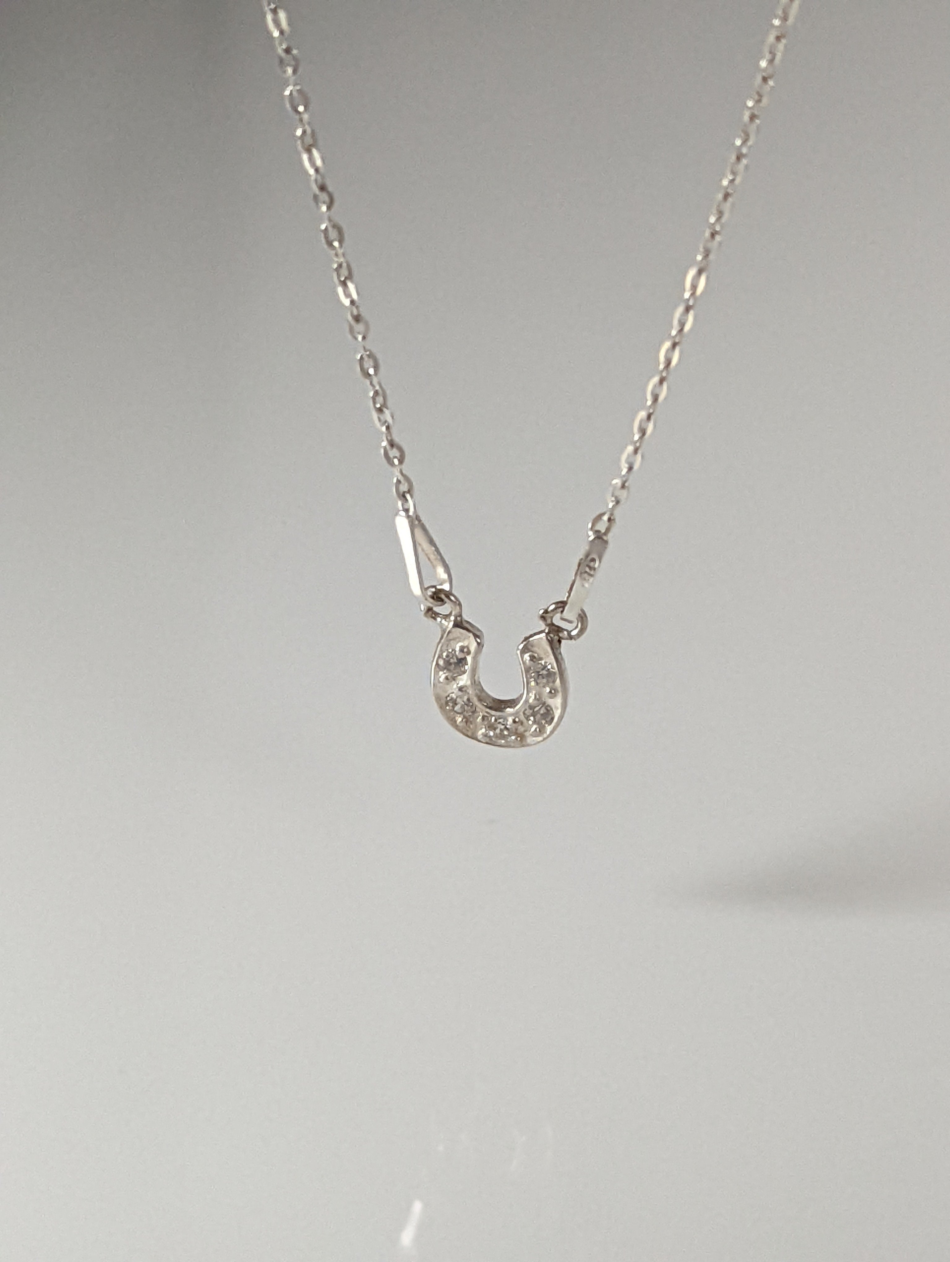 Silver Steed Crystal Horseshoe Necklace
