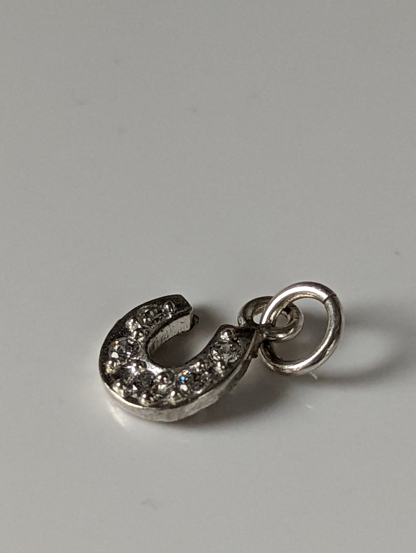 Silver Steed Crystal Horseshoe zirconnia Silver Pendant