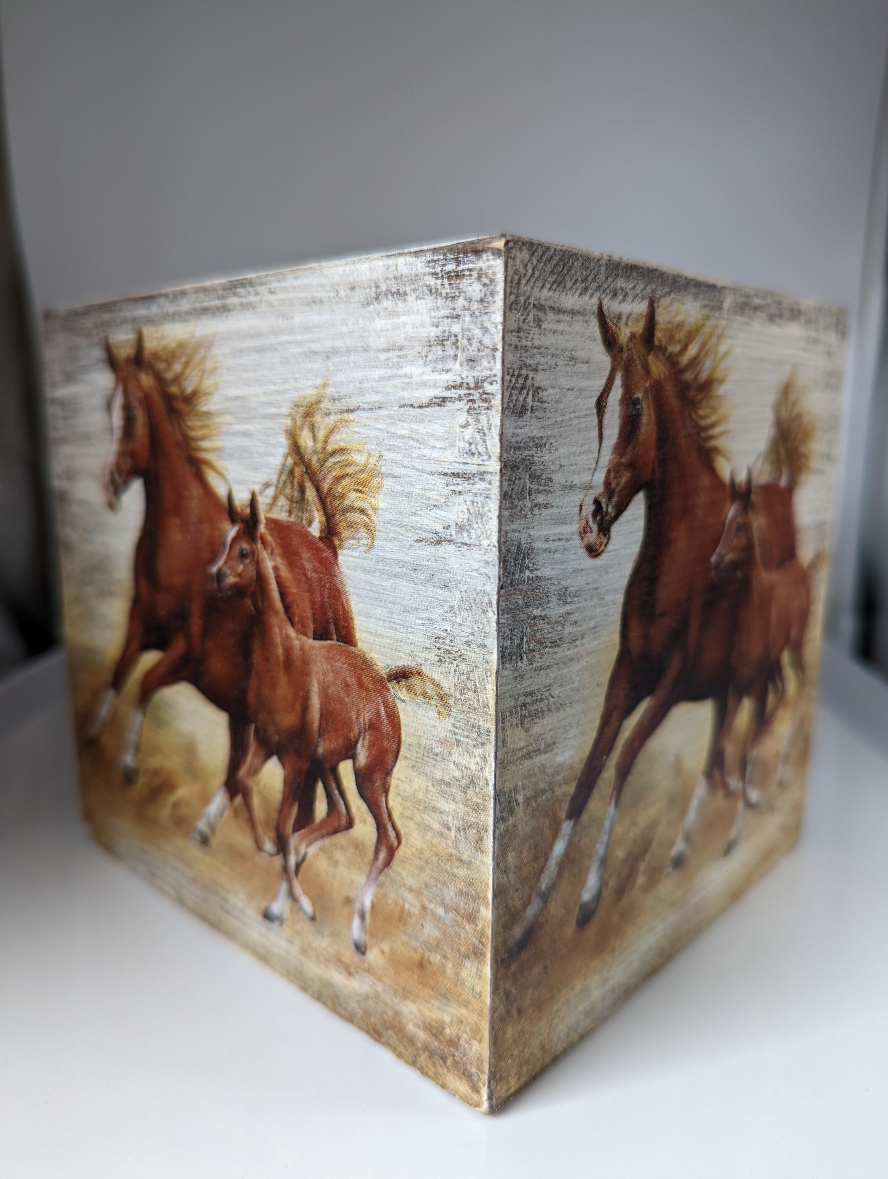 Silver Steed Tissue Boxes
