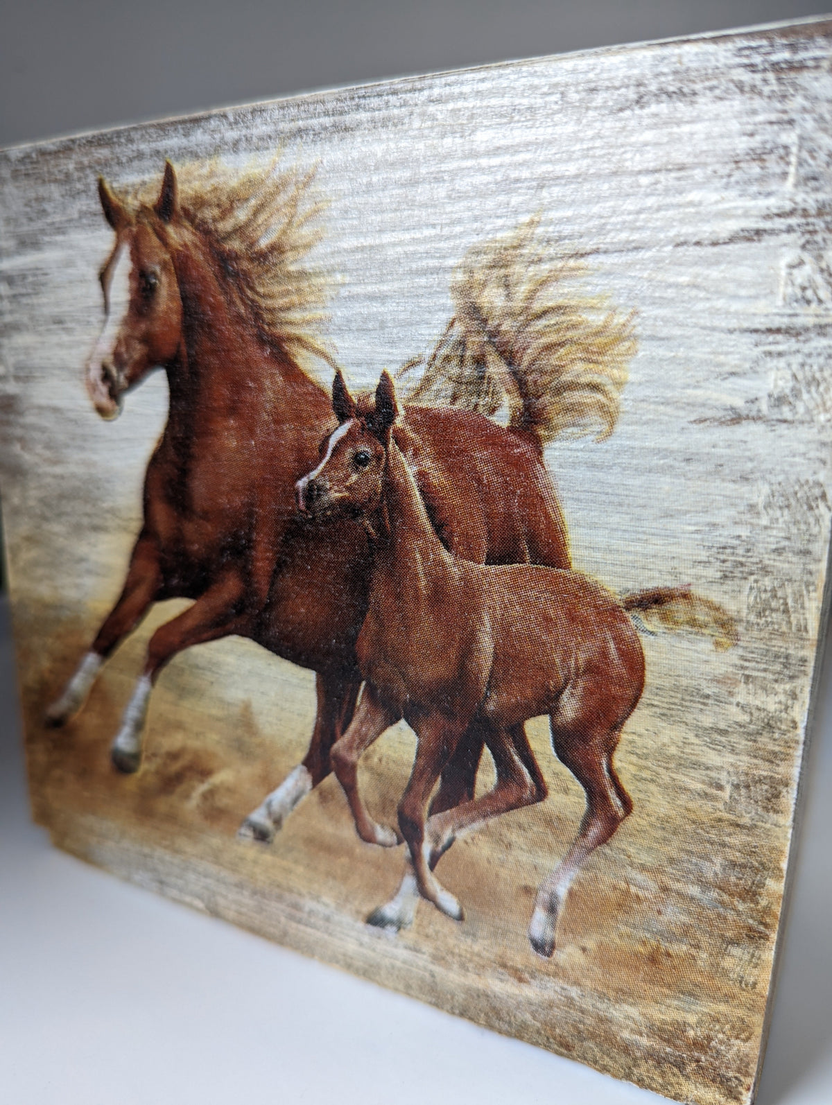 Silver Steed Tissue Boxes