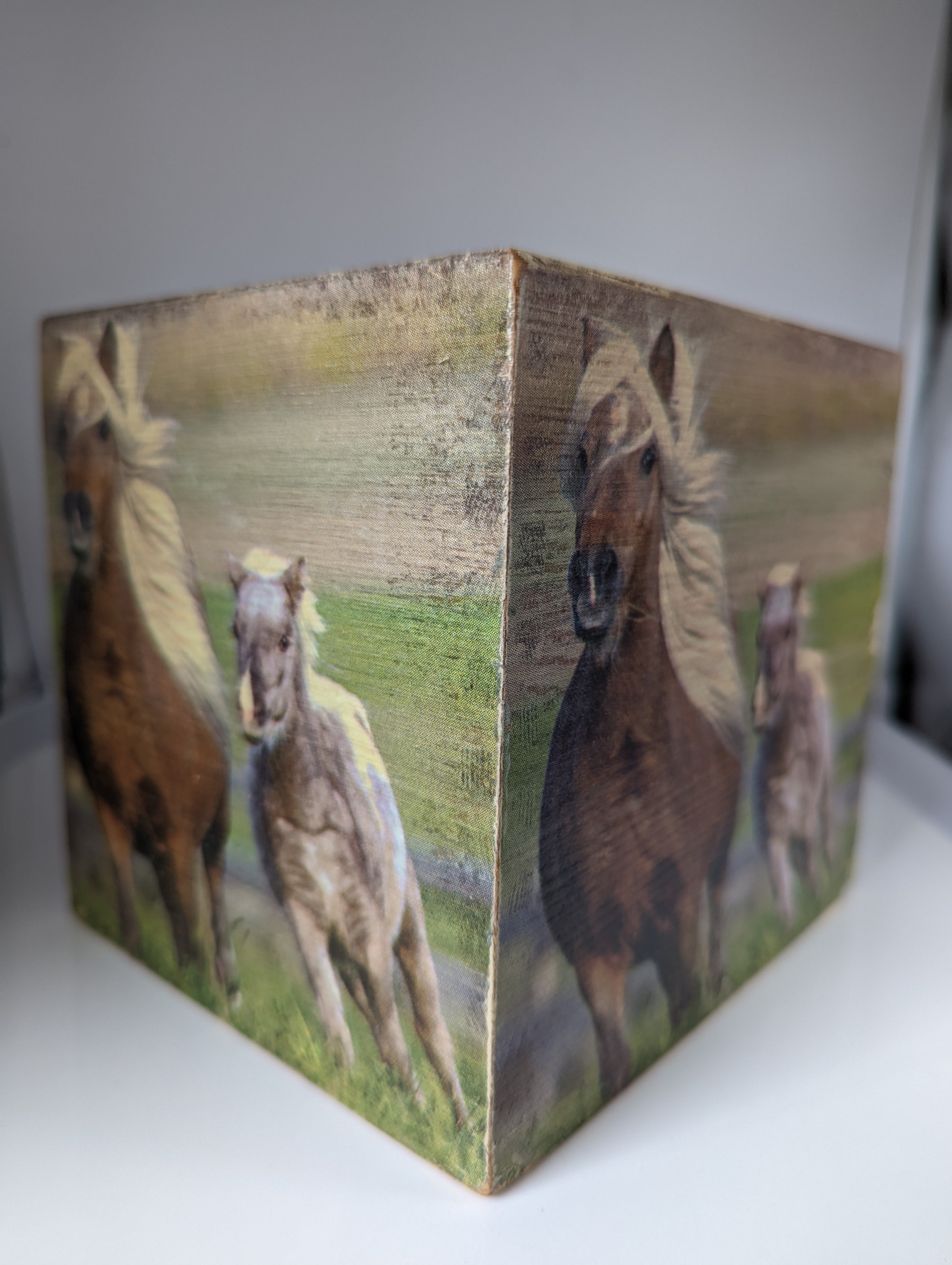 Silver Steed Tissue Boxes