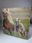 Silver Steed Tissue Boxes