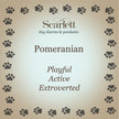 Pomeranian Silver Dog Charm