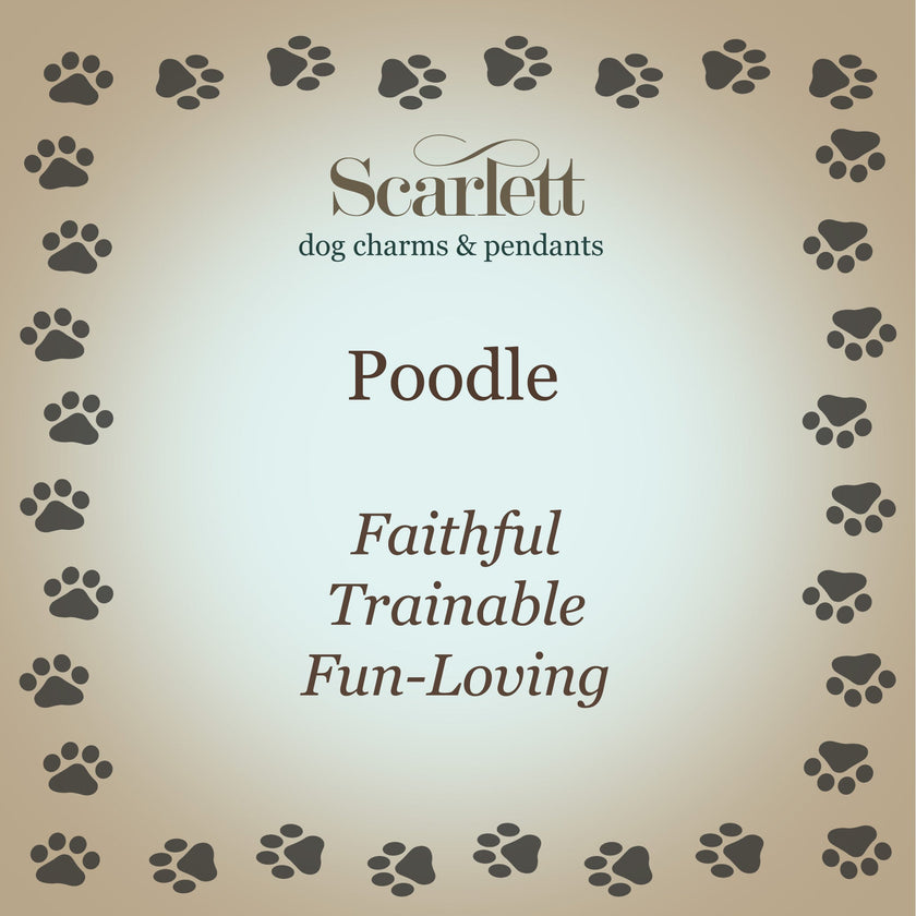 Poodle Personalised Silver Dog Tag Necklace