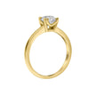 Diamonfire Solitärring mit Doppelfassung