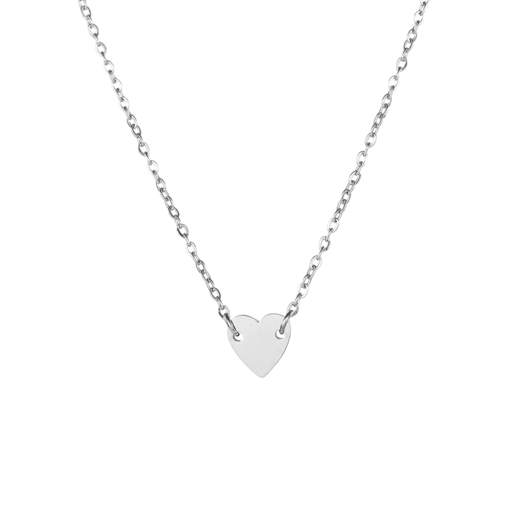 Heart Pendant Necklace - Gold & Silver