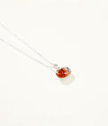 Amber Sea Shell Necklace