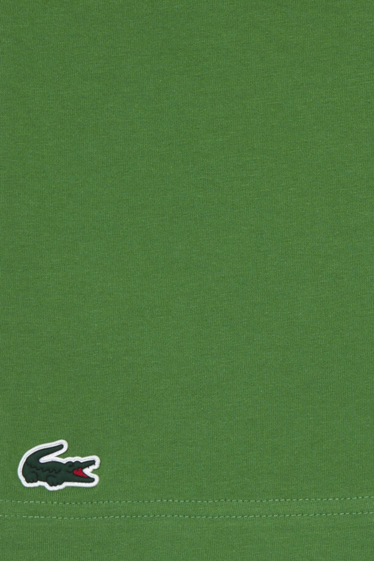 Lacoste Sport Regular Fit T-Shirt Green