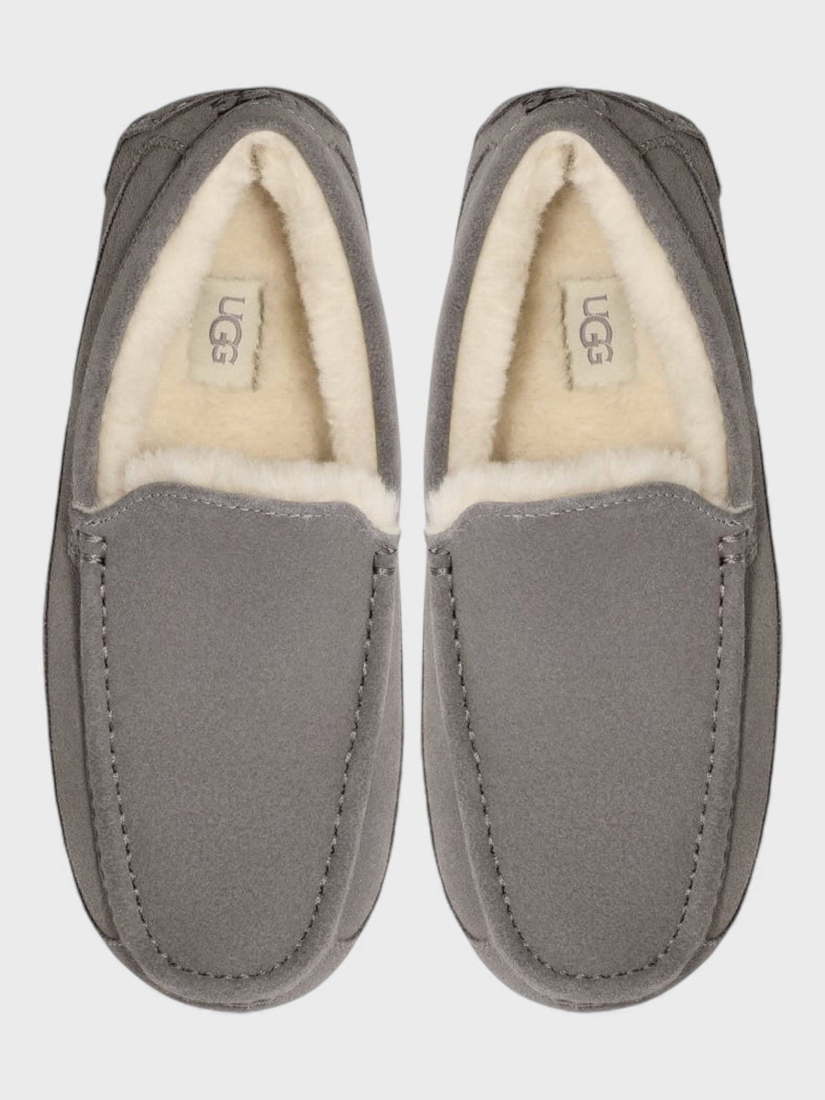 UGG Ascot Slippers Grey