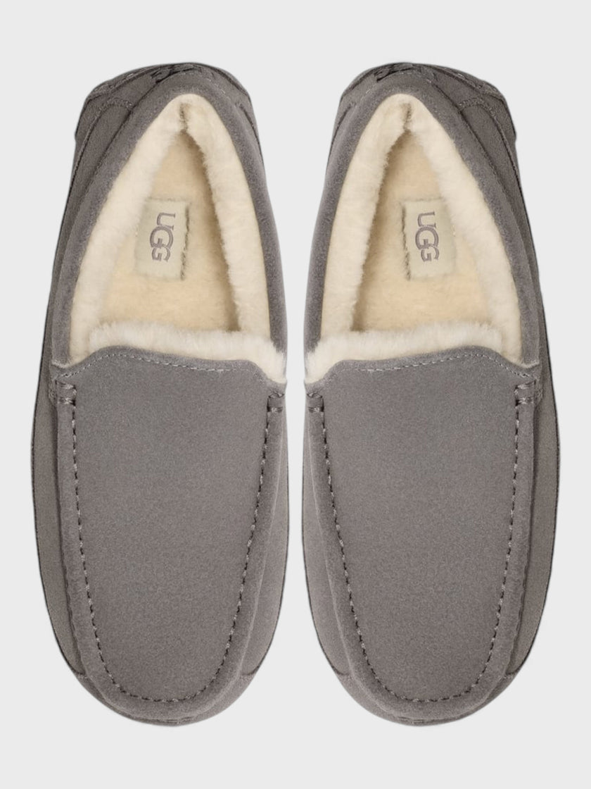 UGG Ascot Slippers Grey