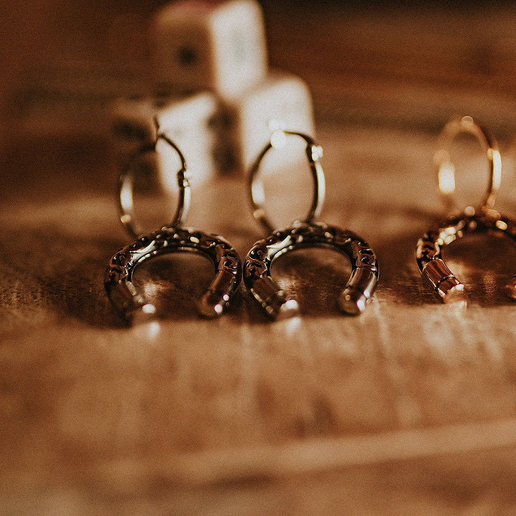 Lucky Charm Horseshoe Hoop Earrings