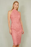 Yumi Pink Lace Halter Neck Dress